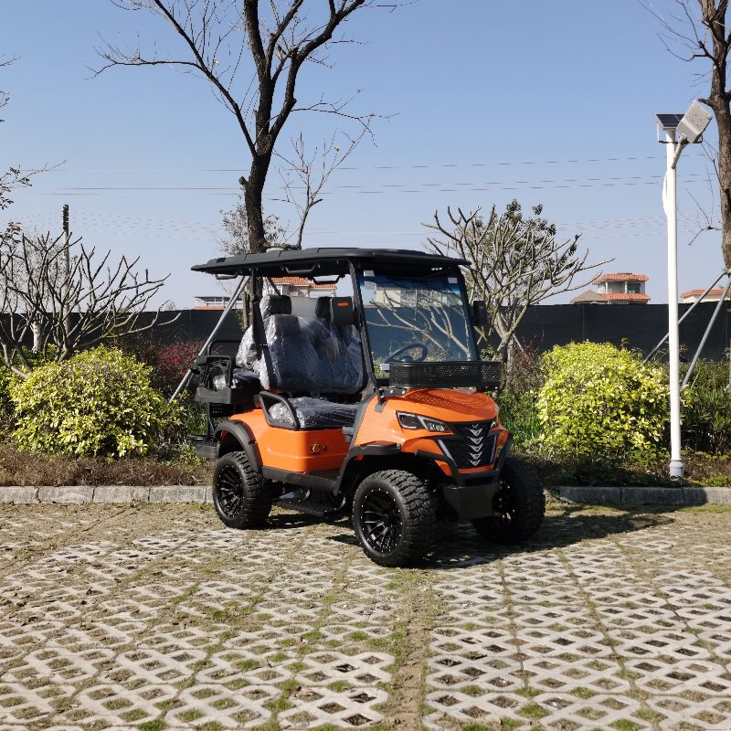 Litium batareyası olan 2 nəfərlik elektrikli ovçuluq vasitəsi