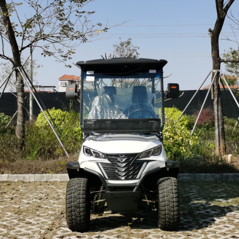 4 + 2 oturacaqlı elektrik aldı, litium batareyası olan ovçuluq vasitəsi