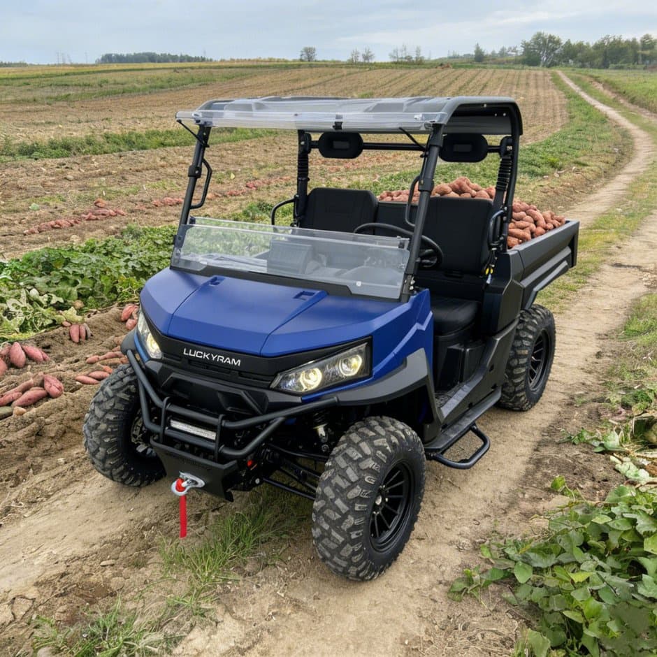 73.6V 4WD UTV 10kw AC Motor EPS Sükan 150ah Batareya