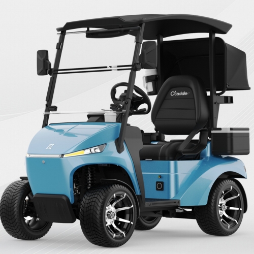 48V litium batareya ilə topdan bir oturacaqlı golf arabası. Küçə qanuni və praktiki elektrik golf arabası üçün litium batareya.